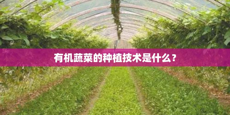 植物生长需要哪些条件？