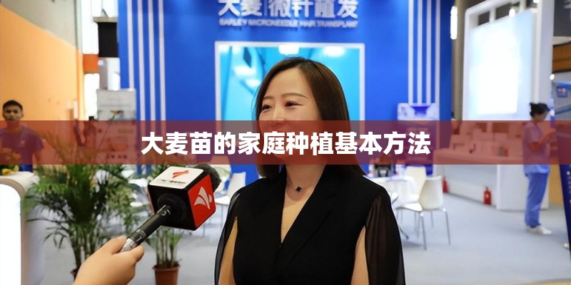 大麦苗的家庭种植基本方法
