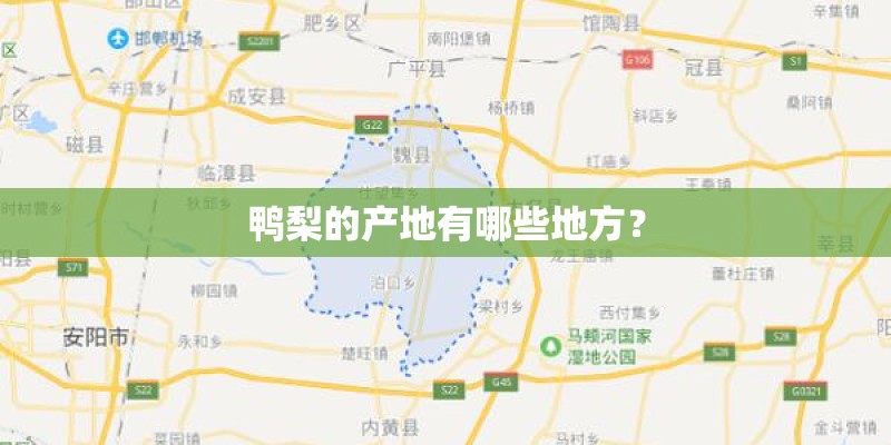 鸭梨的产地有哪些地方? 鸭梨的产地有哪些地方?