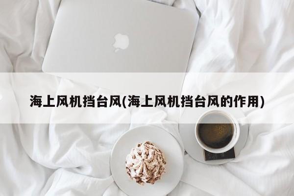 海上风机挡台风(海上风机挡台风的作用)