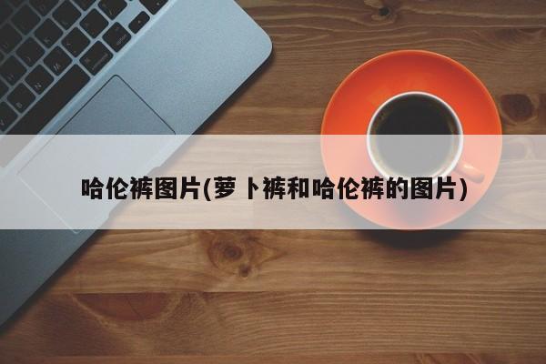 哈伦裤图片(萝卜裤和哈伦裤的图片)