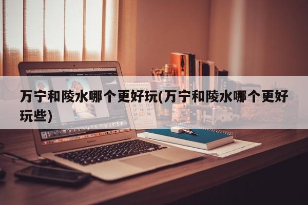 万宁和陵水哪个更好玩(万宁和陵水哪个更好玩些)