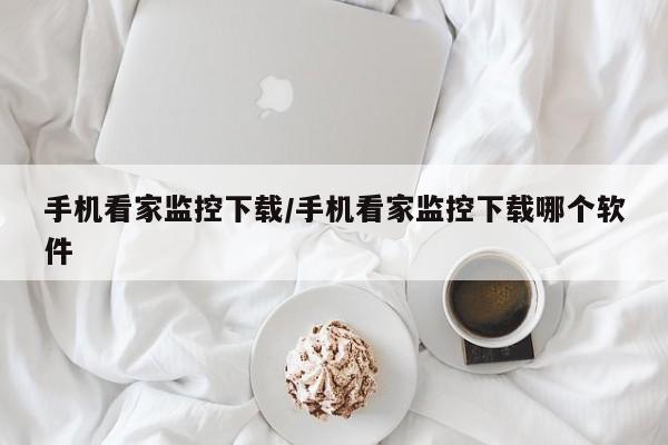 手机看家监控下载/手机看家监控下载哪个软件