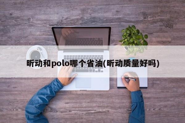 昕动和polo哪个省油(昕动质量好吗)