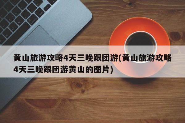 输入车牌号就能查违章的软件/输入车牌号就能查违章的软件免费